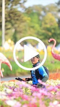 BIB:  <button type="button" onclick="openModal(27583398)" class="btn btn-primary btn-sm float-right" data-toggle="modal" data-target=".modal-high-quality">
                <i class="fa fa-download"></i> Download
                </button>